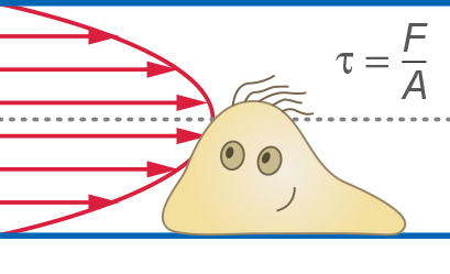 webinar_shear_stress_409.jpg